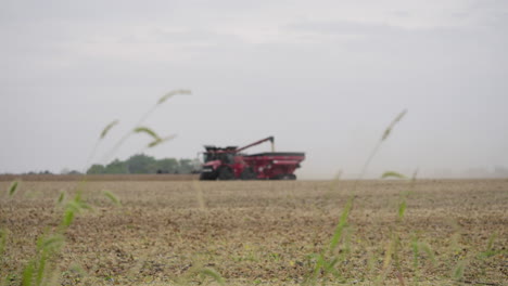 combine harvester working in a grain field with pull focus from foreground plants