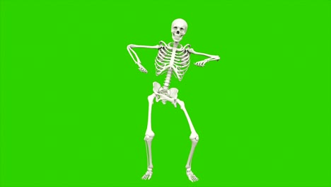 skeleton dancing. seamless loop animation on green screen.