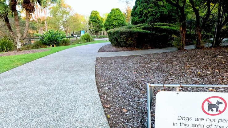 Scenic pathway with no dogs allowed sign