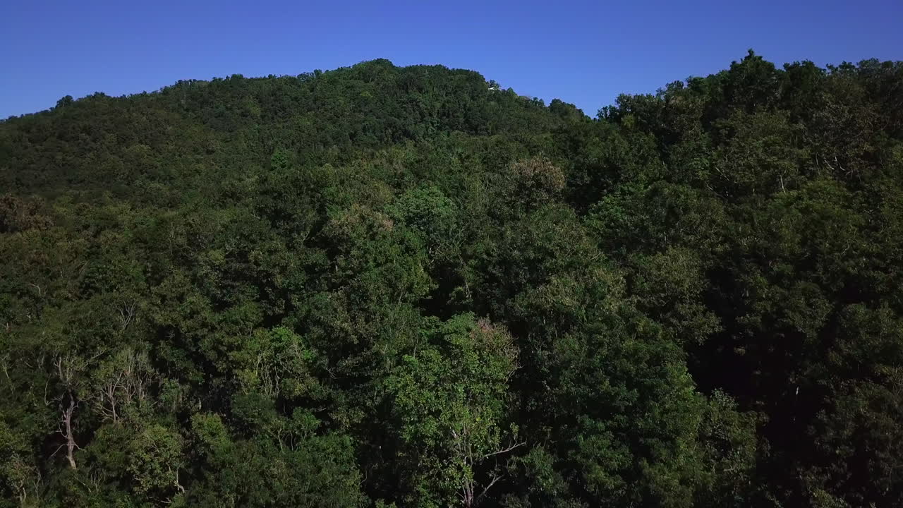 aérea, volando sobre la ladera de una colina cubierta de árboles