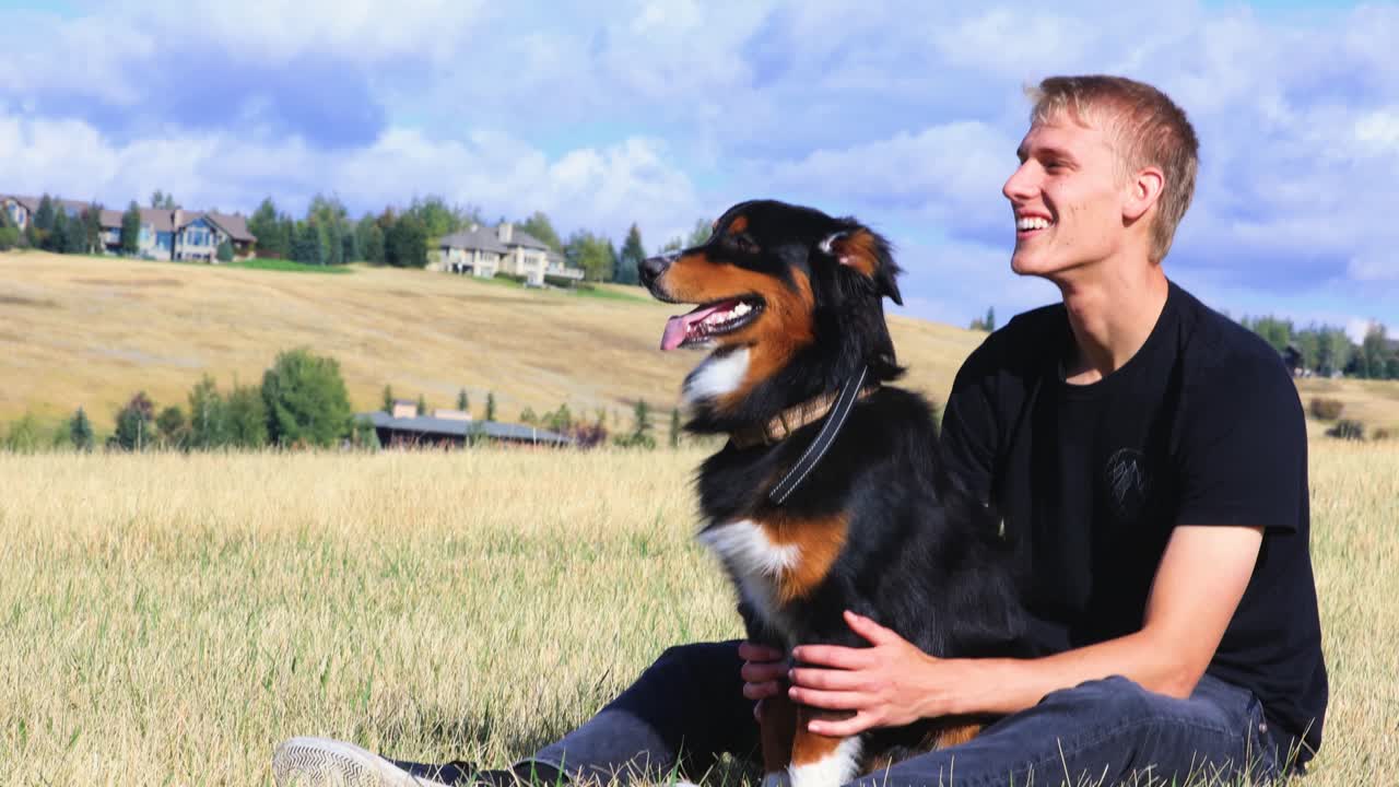 화창한 날 4k에 주인이 있는 오스트레일리아 양치기