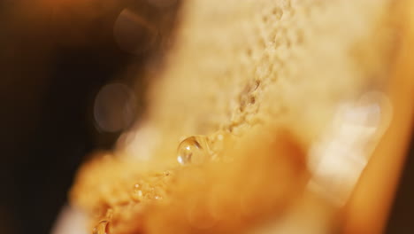 the beekeeper removes wax with a spatula