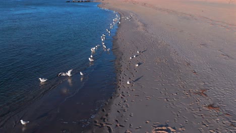 Eine-Aufnahme-Aus-Niedriger-Perspektive-Des-Leeren-Strandes-Am-Reynolds-Channel-In-Atlantic-Beach,-New-York-An-Einem-Sonnigen-Tag