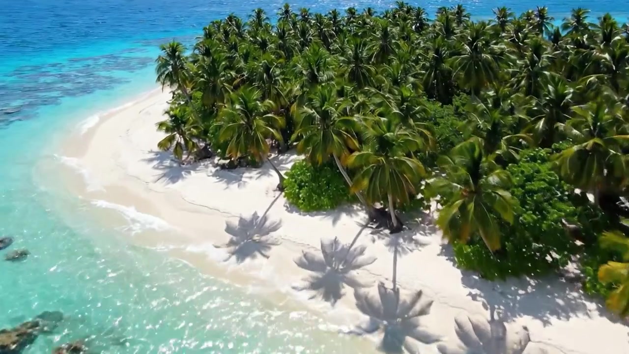 Paradiso tropicale mozzafiato: vedute aeree di lussureggianti palme verdi che si affacciano su acque cristalline e spiagge sabbiose in un'ambientazione insulare serena.