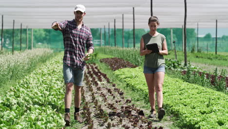 We&#039;re already planning for the next harvest