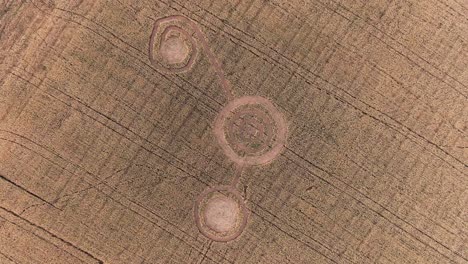 mysterious crop circles in a wheat field