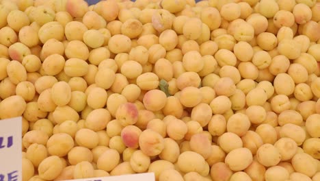 pile of apricots