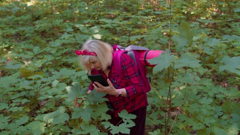 retired senior elderly grandmother adventurer exploring forest trees, plants with her digital tablet