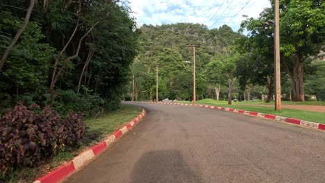 un viaje pacífico a través de un exuberante parque verde.