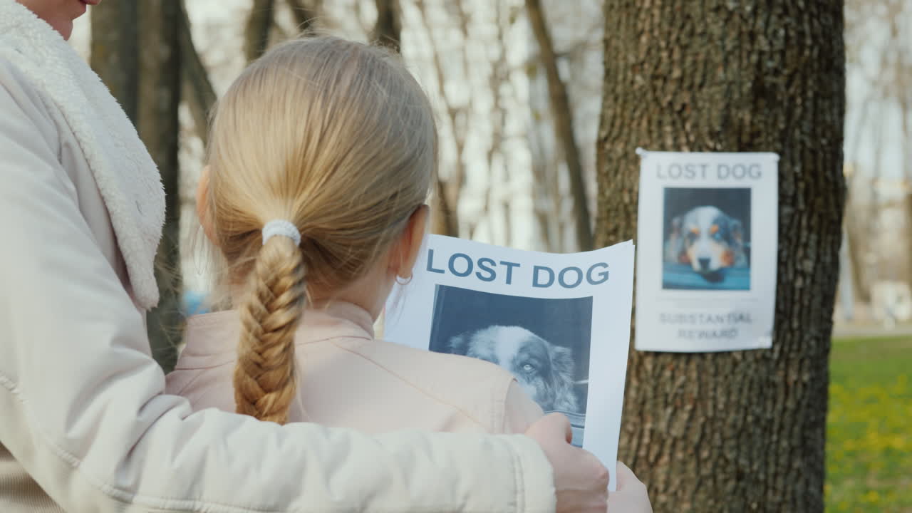 엄마는 나무에서 개를 잃은 소녀를 달래다 실종된 강아지에 대한 발표를 걸다