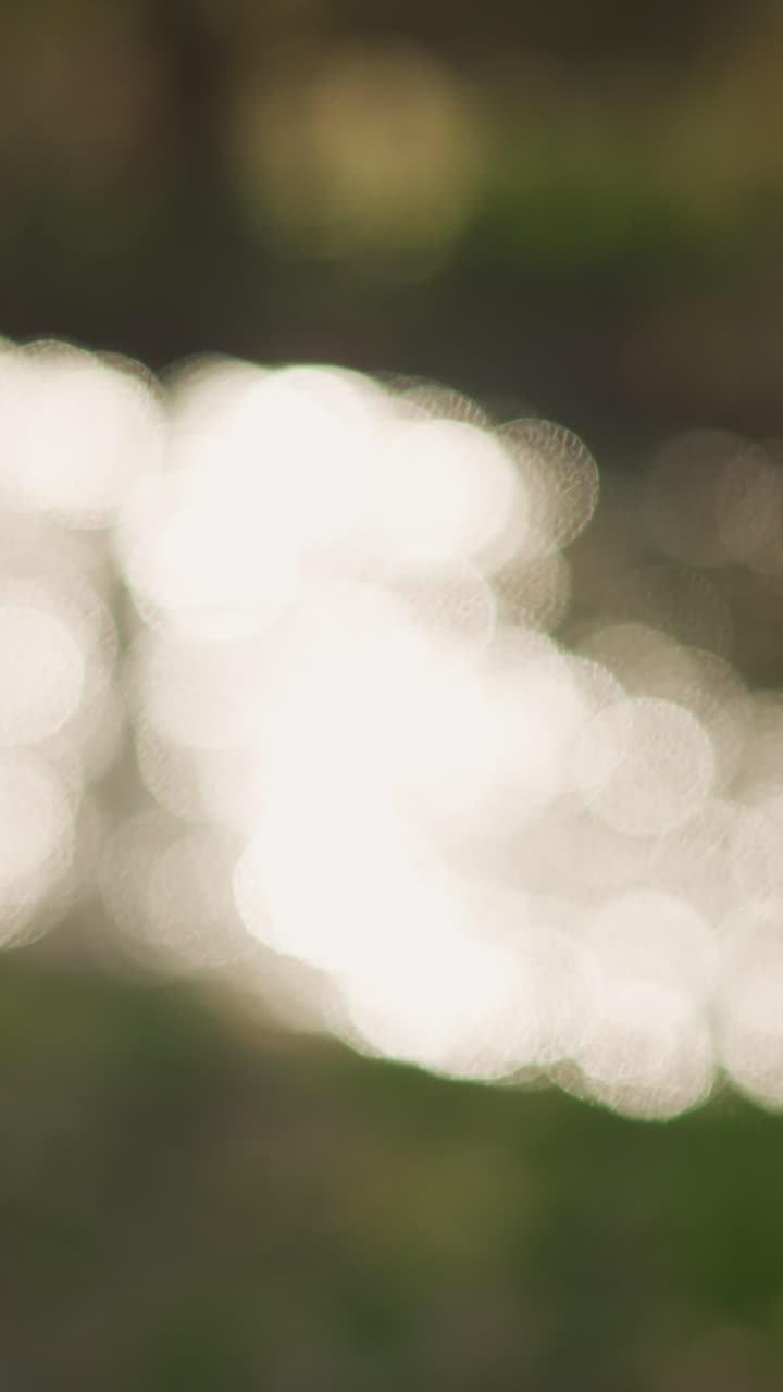 shimmering pond water bokeh, dreamy reflections of sunlight on rippled surface with soft outoffocus trees in background. Abstract highlights and glints create calming meditative atmosphere, gentle