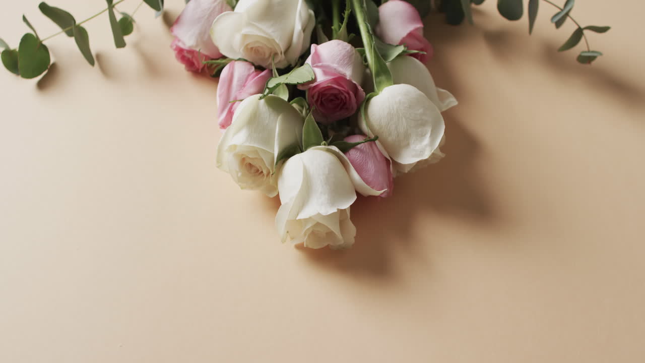 ⁇ 색과 분홍색 장미  ⁇ 어리의 비디오와 노란색 배경에 공간을 복사