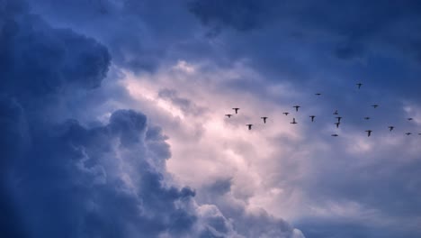El-Pájaro-Está-Migrando-A-Través-De-Las-Nubes-Oscuras