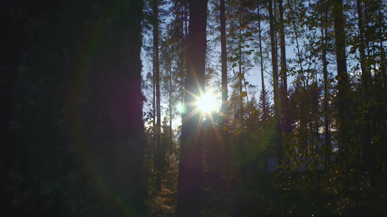 toma deslizante de la puesta de sol con anillos de halo de arco iris en el bosque en ruovesi, finlandia