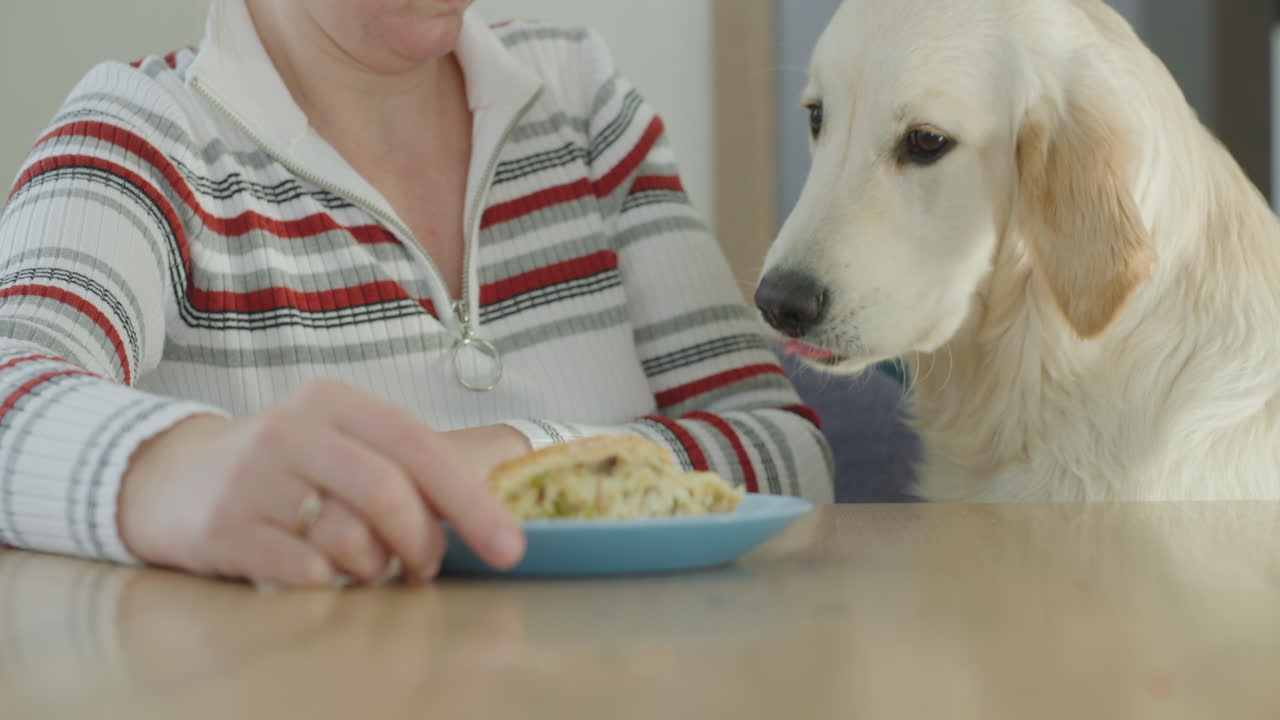 Vrouw voert haar Golden Retriever aan tafel