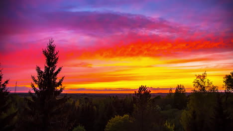 spectacular color palette shining in the evening sky, over a coniferous forest