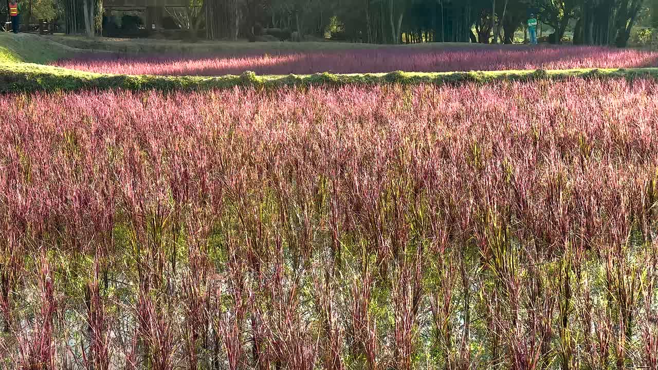 다채로운  위 를 날아다니는 새 들