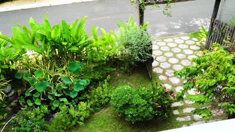 Toma-Panorámica-De-La-Decoración-Vegetal-Visible-Desde-El-Balcón-Frente-A-Una-Casa-Durante-El-Día