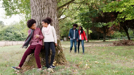 niños de raza mixta escondiéndose detrás de un árbol y sorprendiendo a sus padres, mientras pasan tiempo juntos en un parque de otoño, vista frontal