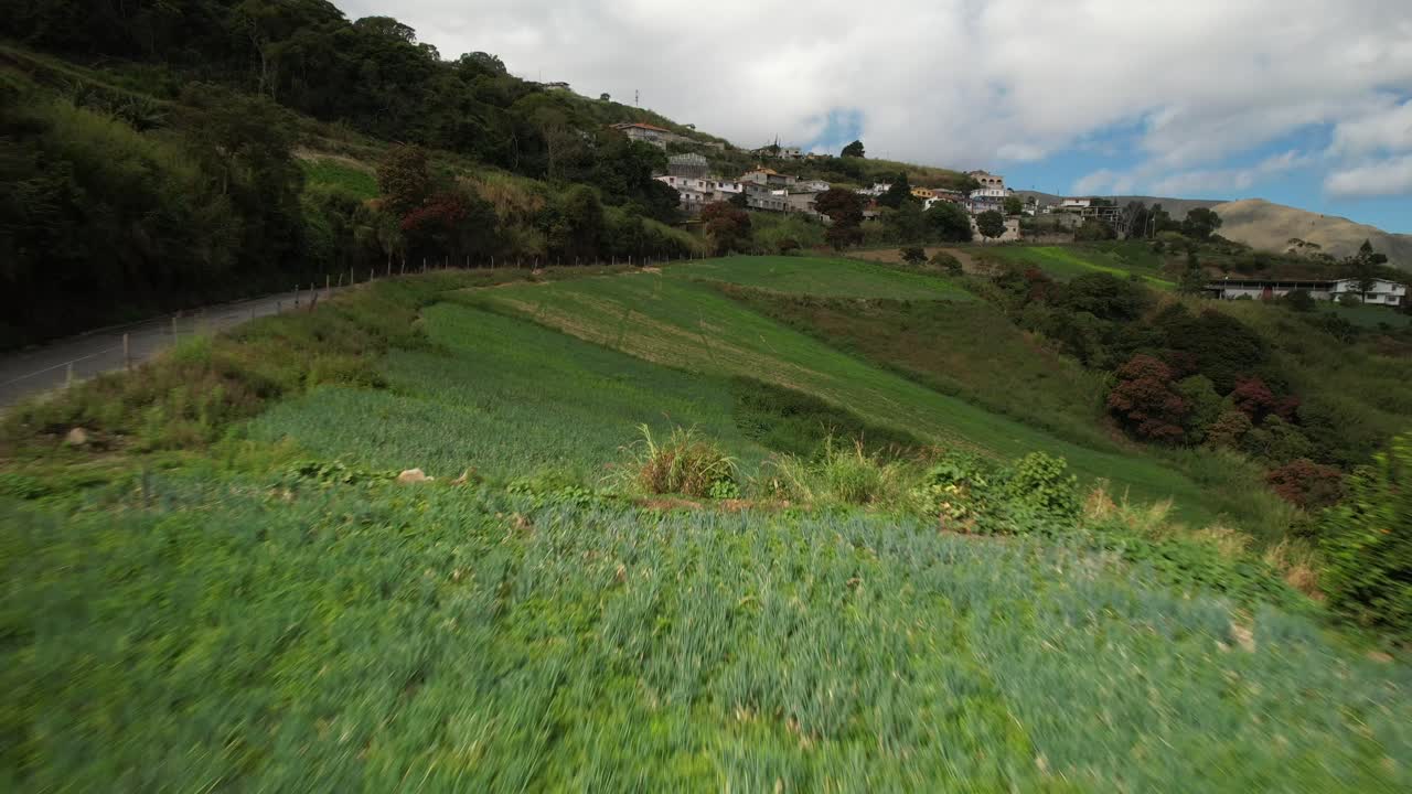Green fields with crops and rural landscapes, aerial view over agriculture areas