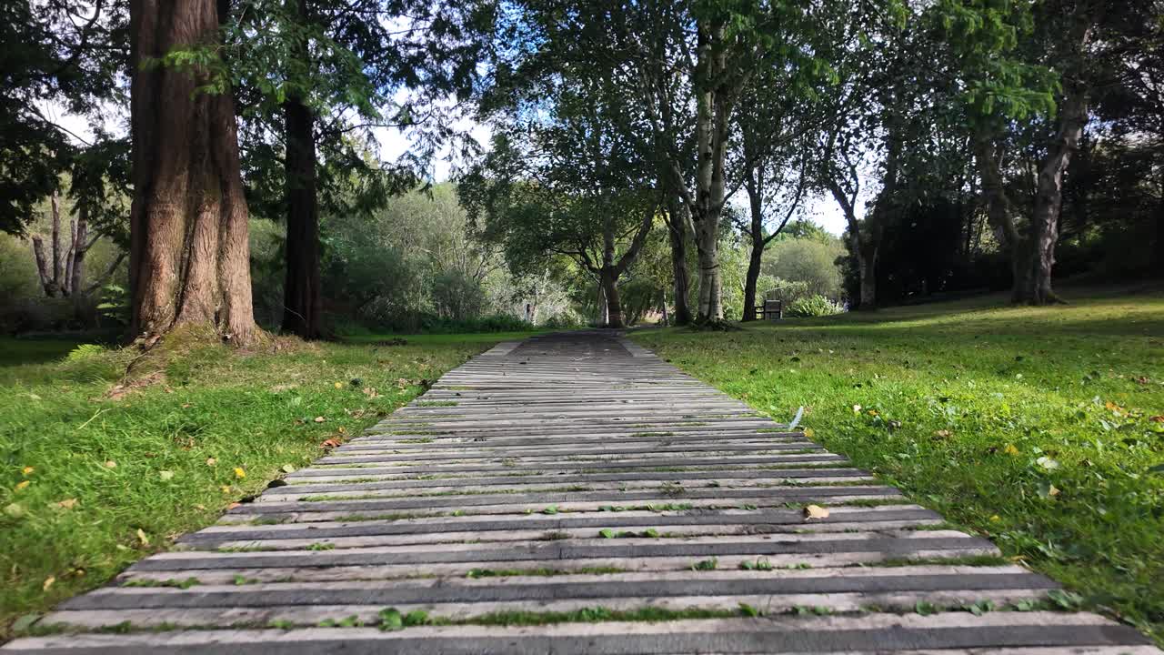 A tranquil wooden path winds through a lush arboretum with tall trees and green grass