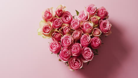 overhead video of a heart shaped bouquet of pink roses on pink background