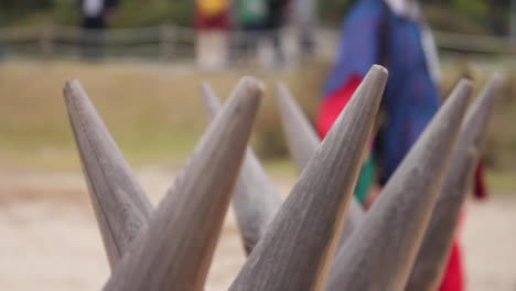 medieval defense display