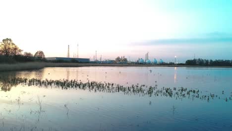 early morning at an antwerp bird watching lake