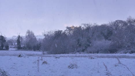 slow motion shot of snow falling heavily on a field with a red morning sky