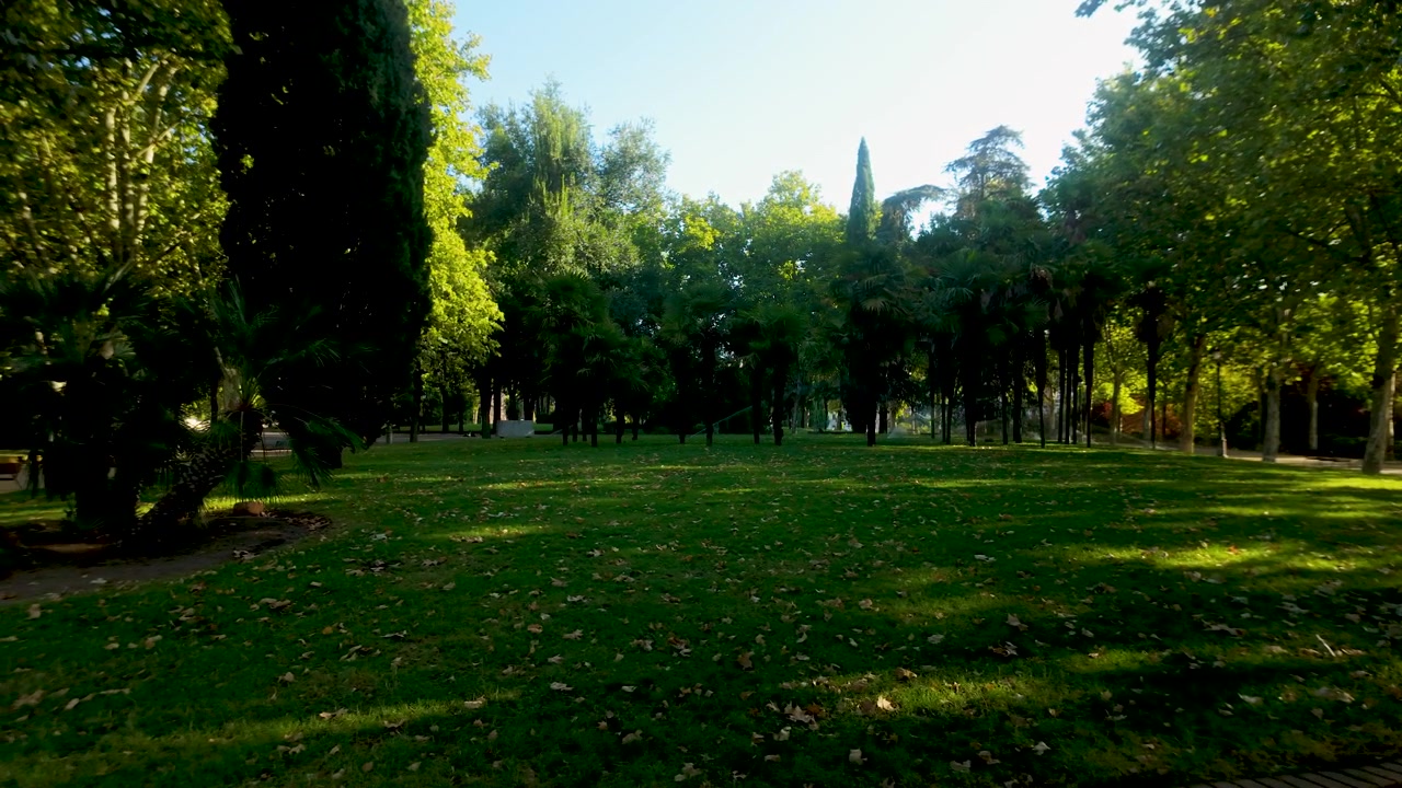 Una vista serena di un parco pubblico illuminato dal sole a Madrid, Spagna, con erba verde vibrante e alberi ad alto fusto. Ideale per temi di viaggio, benessere e sostenibilità ambientale