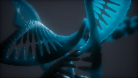 loop double helical structure of dna strand close-up animation