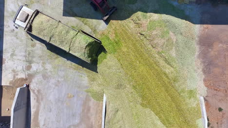 two tractors make silage for farm animals