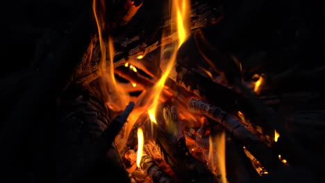 cocinar hot dog en el fuego del campamento