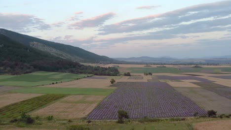 Noche-De-Verano-Sobre-Hermosos-Cultivos-De-Lavanda-Búlgara-Cerca-De-La-Puesta-De-Sol