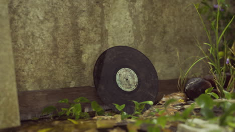 vintage vinyl record in nature