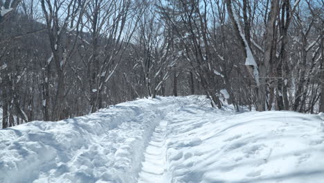 pov caminando a lo largo de una profunda pista nevada a través de los bosques daegwallyeong sky ranch, corea