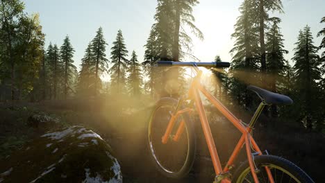 bicycle in mountain forest at sunset