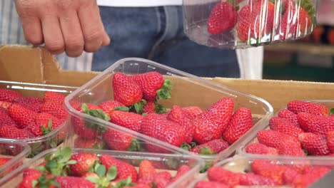 strawberries in plastic containers at a grocery store