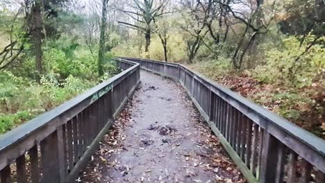 Vorwärtsfahren-Auf-Einem-Holzgang,-Herbst,-Hassendeide-Park-In-Berlin,-Deutschland,-30-Fps-HD-6-Sek