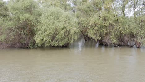 reserva natural delta del río danubio