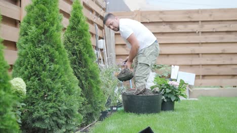 a gardener bends down to plant flowers in a well-maintained garden, surrounded by green grass, shrubs, and wooden fencing. focus on outdoor landscaping and gardening work