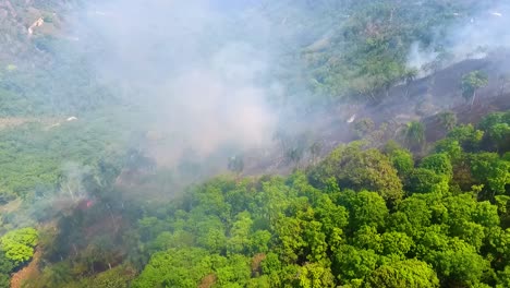 Aerial-view-towards-a-deforestation-area,-a-forest-wildfire-fire-in-a-jungle,-smoking-Amazon-rainforest,-in-Brazil,-sunny-day,-South-America---dolly,-drone-shot