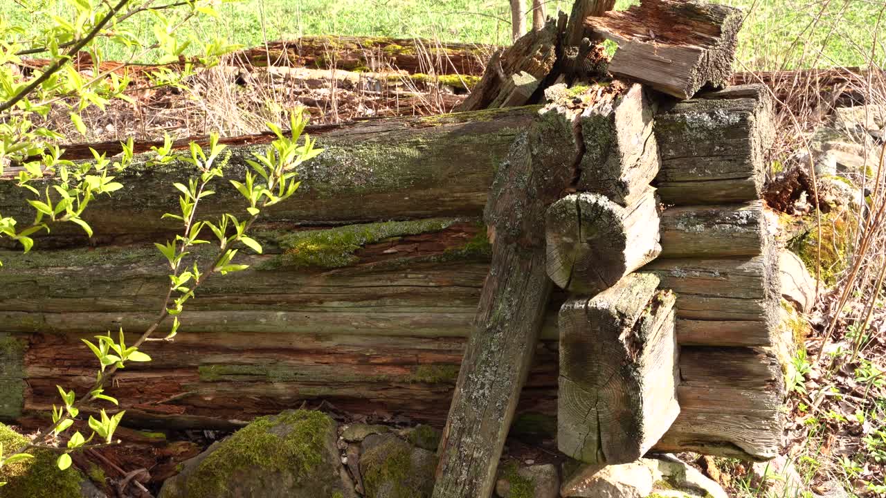 restos podridos de una granja antigua de madera en un día soleado, vista estática