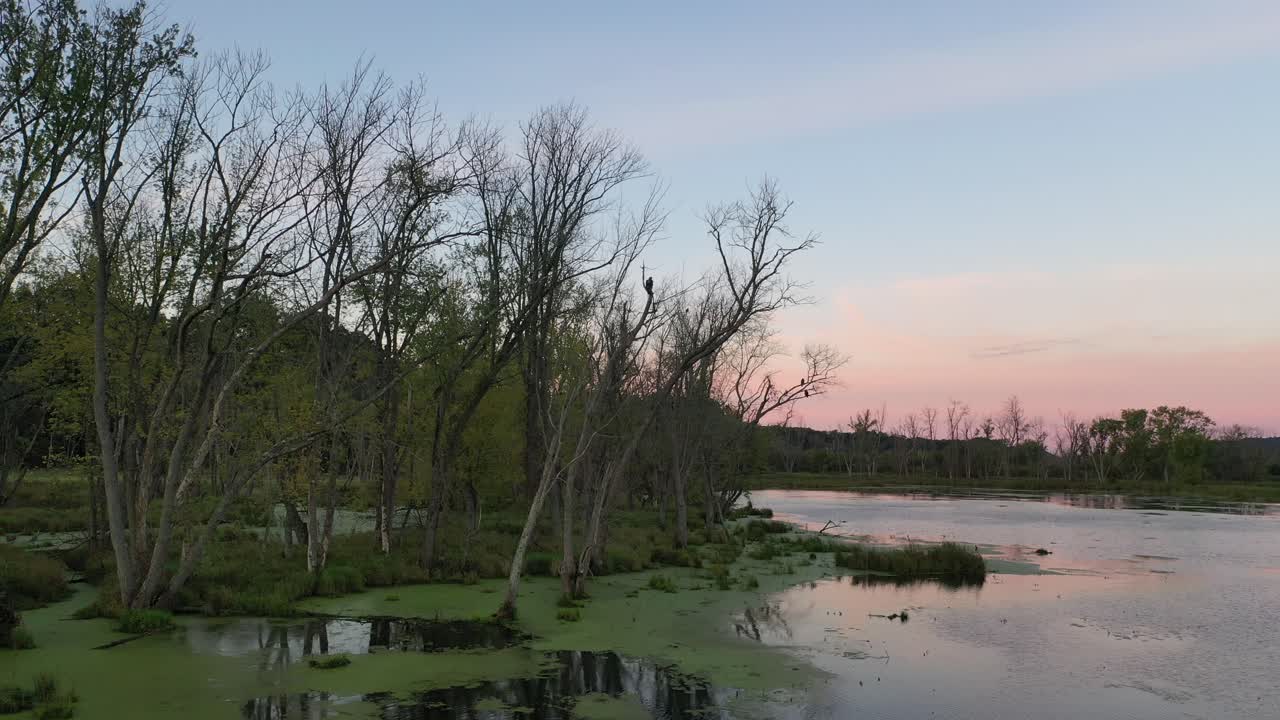 el atardecer y el amanecer pacíficos de los pantanos