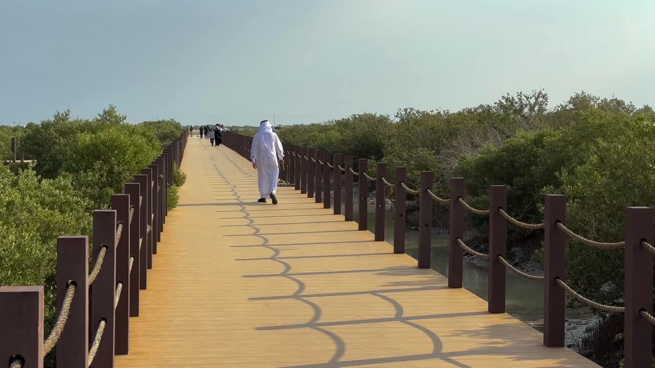a man with Arabian dress clothes costume is walking on a wooden walkway in the mangroove mangrove forest the tropical trees with green leaves salt root plant in the mud in the sea culture love nature
