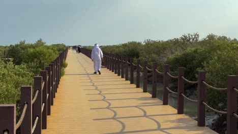 un hombre con ropa de vestir árabe está caminando sobre una pasarela de madera en el bosque de manglar mangroove los árboles tropicales con hojas verdes planta de raíz de sal en el barro en el mar cultura amor naturaleza