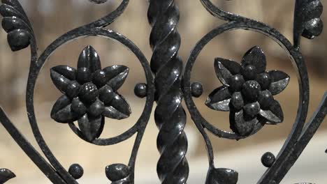 beautiful closeup of a black steel gate with floral designs in it which is part of the steel gate that surrounds parliament hill in ottawa, ontario, canada