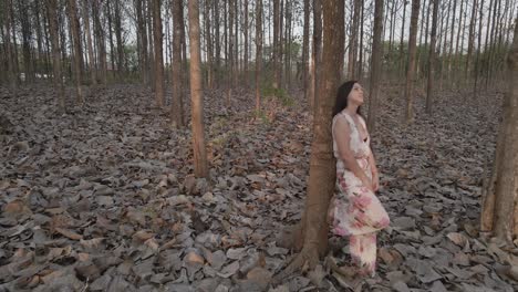 revealing a young woman leaning against a tree with a look of contemplation, golden hour, aerial close up