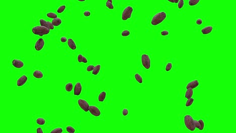 fresh and tasty date fruits food falling on 4k green screen with alpha matte