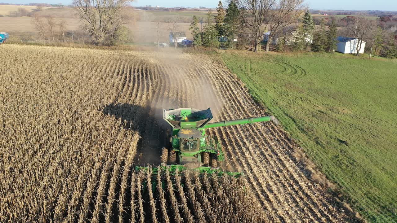 cosecha de maíz en un paisaje rural